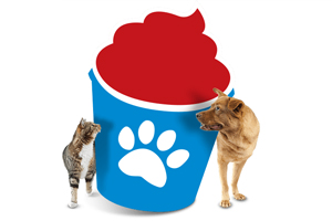 ice-pet-gato-cachorro