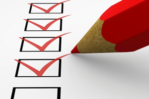 The questionnaire