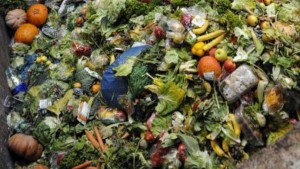 startup-encontra-dinheiro-no-lixo