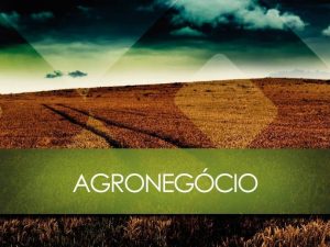 agronegocio-empreendedor